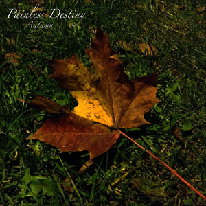 免费看十八岁美女电视剧尼姑
